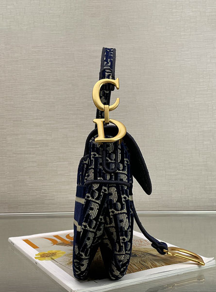 Dior迪奥2020秋冬新款天鹅绒Oblique印花刺绣马鞍包