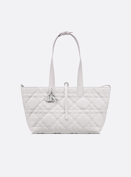 高仿DIOR包包 | A货迪奥女包 2025秋季DIOR新款 柔灰色中号 Dior Toujours 手袋