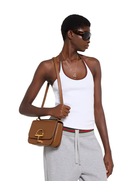 高仿GUCCI包包 | A货古驰女包 2025秋冬GUCCI新款 棕色 Gucci Siena系列小号肩背包