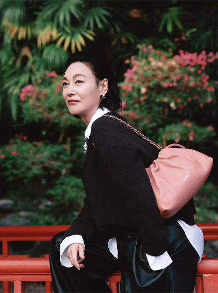 高仿LOEWE包包 惠英红同款包包