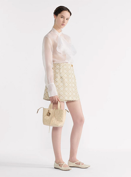 高仿DIOR包包 | A货迪奥女包 2026春夏DIOR新款 浅米色小号 Dior Toujours 竖版手袋