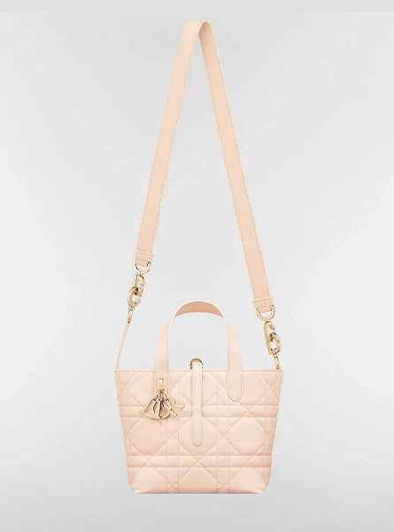 高仿DIOR包包 | A货迪奥女包 2026春夏DIOR新款 沙石粉色小号 Dior Toujours 竖版手袋