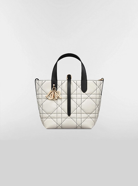 高仿DIOR包包 | A货迪奥女包 2026春夏DIOR新款 白色小号 Dior Toujours 竖版手袋