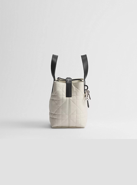 高仿DIOR包包 | A货迪奥女包 2026春夏DIOR新款 奶白色小号 Dior Toujours 竖版手袋