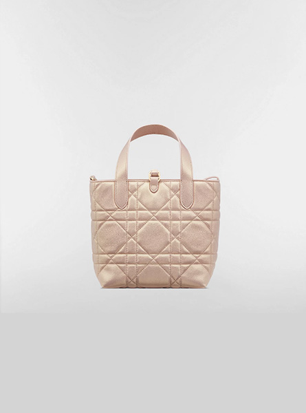 高仿DIOR包包 | A货迪奥女包 2026春夏DIOR新款 珠光粉色小号 Dior Toujours 竖版手袋