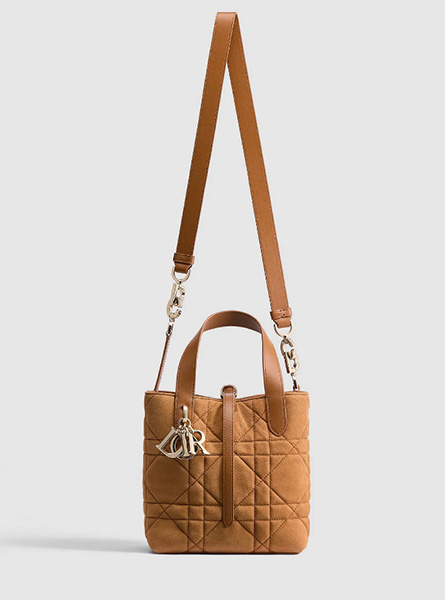 高仿DIOR包包 | A货迪奥女包 2026春夏DIOR新款 马鞍金色小号 Dior Toujours 竖版手袋