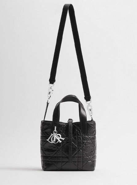 高仿DIOR包包 | A货迪奥女包 2026春夏DIOR新款 黑色小号 Dior Toujours 竖版手袋