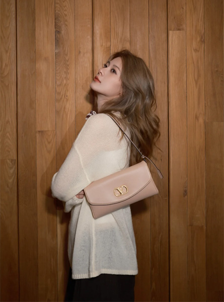 高仿Valentino包包 赵昭仪同款包包