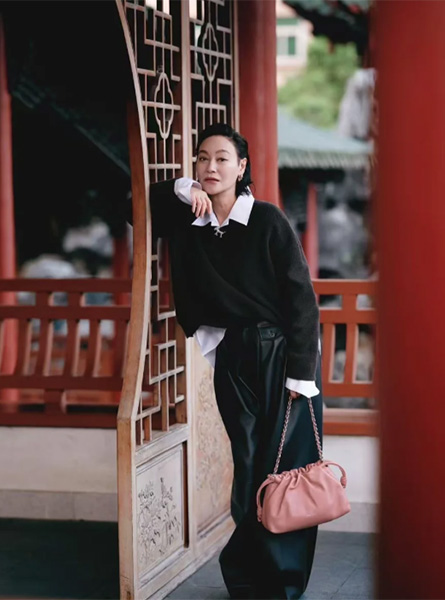 高仿LOEWE包包 惠英红同款包包