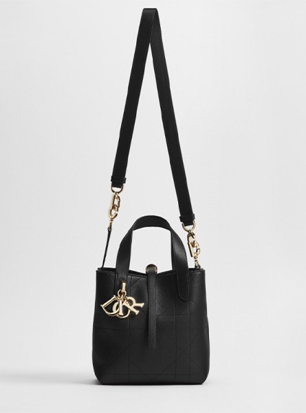 高仿DIOR包包 | A货迪奥女包 2026春夏DIOR新款 黑色小号 Dior Toujours 竖版手袋