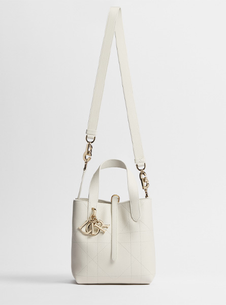 高仿DIOR包包 | A货迪奥女包 2026春夏DIOR新款 奶白色小号 Dior Toujours 竖版手袋