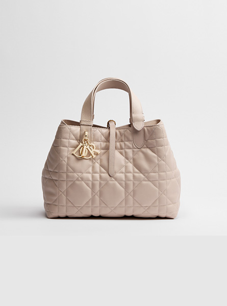 高仿DIOR包包 | A货迪奥女包 2026春夏DIOR新款 冰蓝色中号 Dior Toujours 手袋