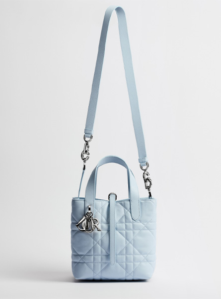 高仿DIOR包包 | A货迪奥女包 2026春夏DIOR新款 冰蓝色小号 Dior Toujours 竖版手袋