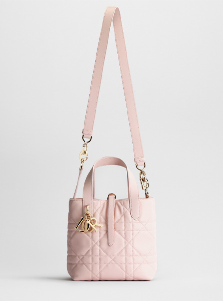 高仿DIOR包包 | A货迪奥女包 2026春夏DIOR新款 淡柔粉色小号 Dior Toujours 竖版手袋