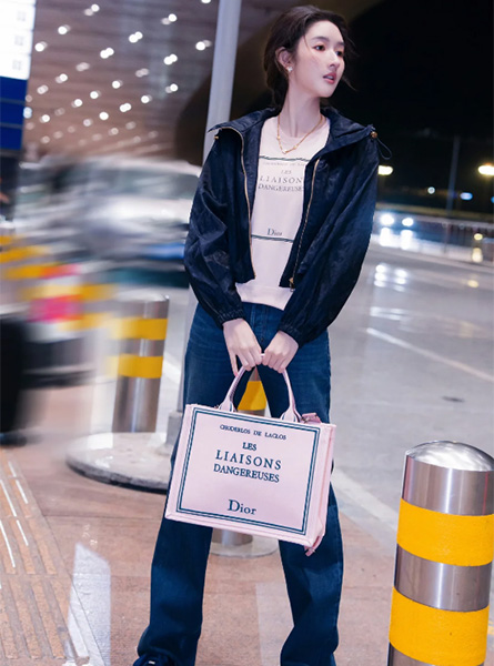 高仿DIOR包包 Book Tote 手袋王玉雯同款包包