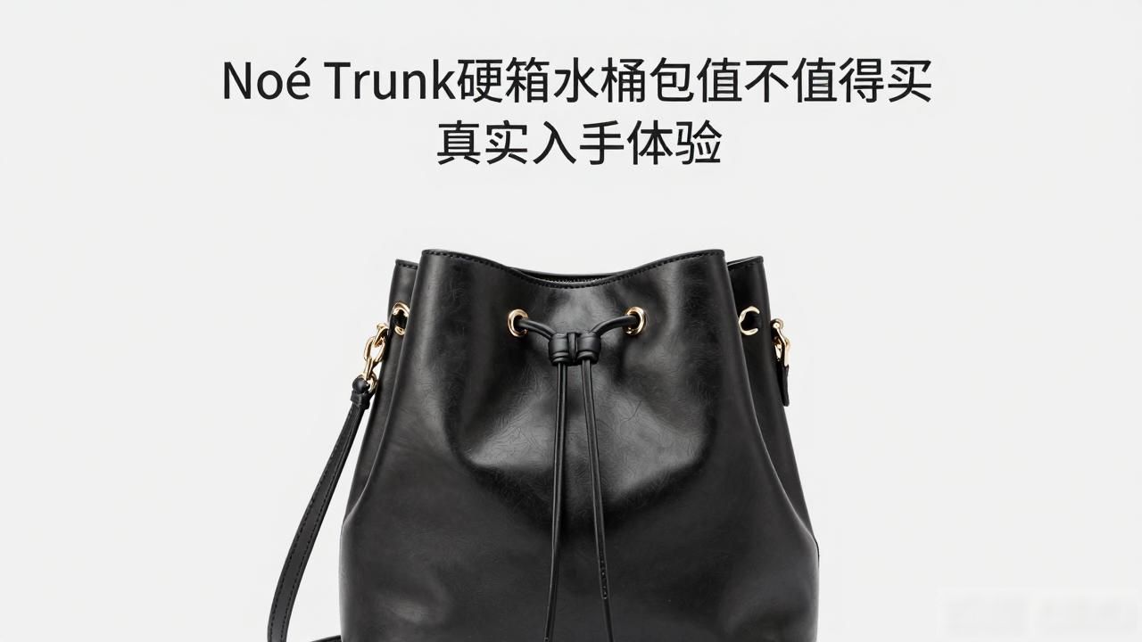 Noé Trunk硬箱水桶包值不值得买 真实入手体验 lv2026 第3张-买A货 水桶包noe_水桶包长啥样_Noé Trunk|硬箱水桶包