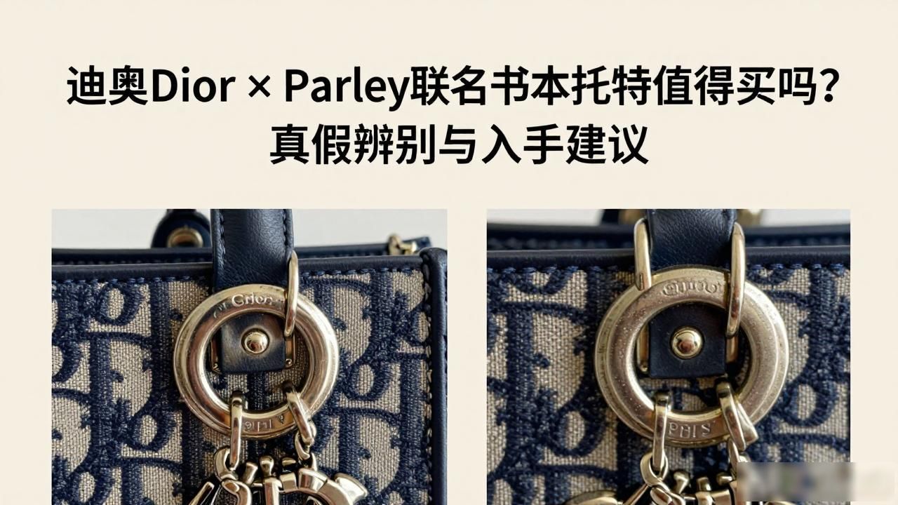 迪奥托特包正品细节图_迪奥booktote托特包_Dior × Parley Book Tote｜迪奥环保联名书本托特