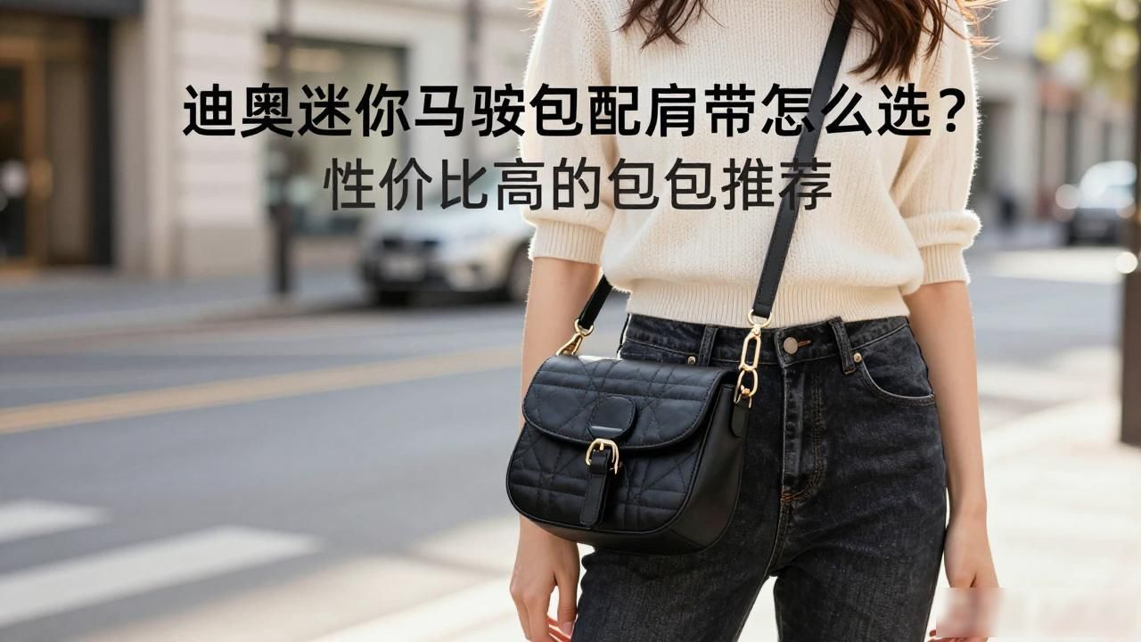 迪奥迷你马鞍包配肩带怎么选?性价比高的包包推荐 dior2026 第2张-买A货 马鞍肩带袖一线连最简单_Mini Saddle Bag With Strap|迷你马鞍包(配肩带)_肩带式马甲
