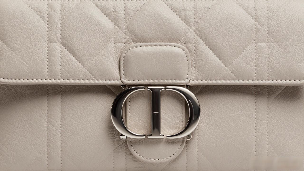 Dior马缰手袋值得买吗?ELLE明星同款真实测评 Hermès2026 第1张-买A货 马的缰绳套在什么位置_马缰绳正确佩戴方法_6. Bride de Jour — 马颔缰手袋ELLE中...